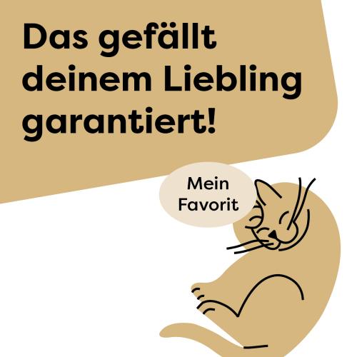 Bestseller Katze