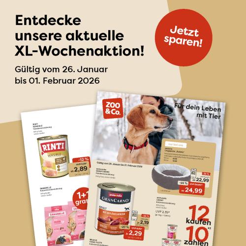 Hundealltag-Angebote der Woche
