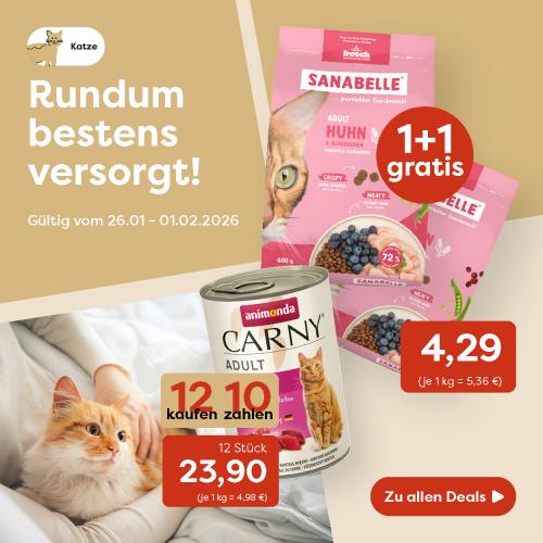 Wohnungskatzen-Angebote der Woche