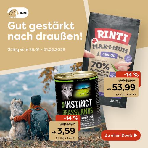 Angebote der Woche für aktive Hunde