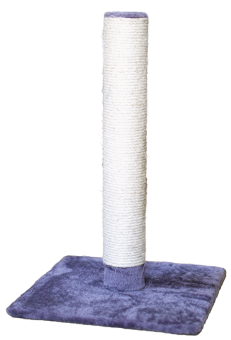 Talua! Kratzstamm David 