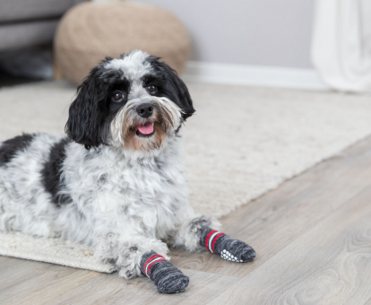 TRIXIE Hundesocken rutschfest Größe M-L 