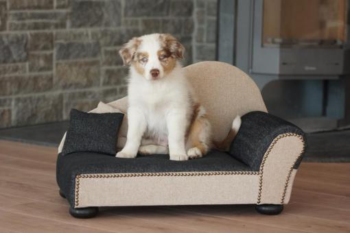 SILVIO DESIGN Leroy Ottomane für Hunde ca. 39 x 57 x 40 cm, grau-beige 