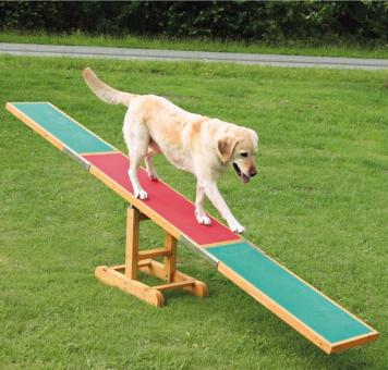 TRIXIE Dog-Activity Agility-Wippe 