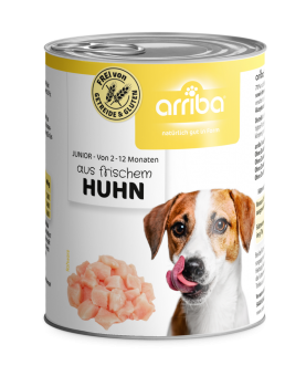 arriba Junior mit Huhn 6 x 800 g 