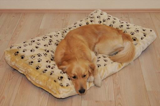 SILVIO DESIGN Hunde-Liegewiese Silvio Gr. XXL ca. 120 x 75 x 8 cm, beige 