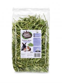 LandPartie Grüner Hafer 100 g 