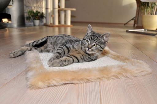 ROHRSCHNEIDER Kratzmatte ca. 70 cm, beige 