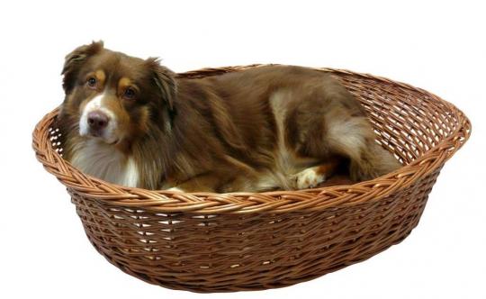 SILVIO DESIGN Ruhekorb mit Kissen  Gr. XXL ca. 107 x 74 x 30 cm, braun 