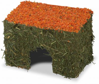 JR FARM Heu-Haus Karotte klein 75g 