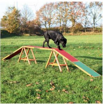 TRIXIE Dog Activity Agility Steg 456x64x30cm 