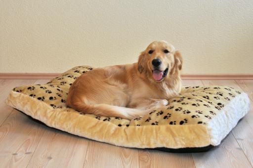 SILVIO DESIGN Hunde-Liegewiese Silvio Gr. L ca. 85 x 45 x 8 cm, beige 