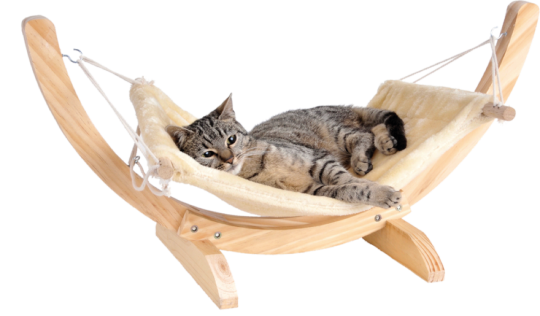 SILVIO DESIGN Cat Relax in 70cmx35cmx30cm 