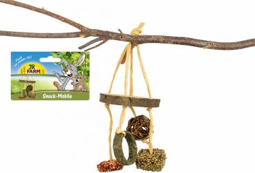 JR FARM Snack-Mobile 100g 