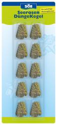 Söll Seerosen Dünge Kegel 10 Stück 