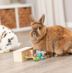 TRIXIE Snack Würfel aus Holz 16x6x7cm 