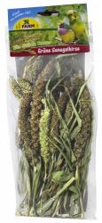 JR FARM Grüne Senegalhirse 50 g 
