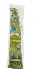 JR FARM Timothy-Ernte 80 g 