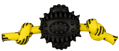 azoona Rugby am Seil 