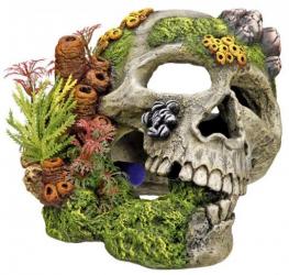 Nobby Aqua Ornaments "Totenkopf" mit Pflanzen 19x16x14cm 