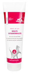ANIMAL HEALTH MULTIVITAMINPASTE für Katzen 200 g 