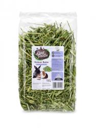 LandPartie Grüner Hafer 100 g 