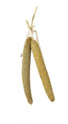 JR FARM Birds Perlhirse 40 g 