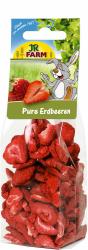 JR FARM Pure Erdbeeren 20 g 