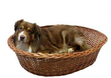 SILVIO DESIGN Ruhekorb mit Kissen Gr. M ca. 70 x 51 x 20 cm, braun 