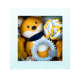 azoona Hundespielzeug Puppy-Geschenkset hellblau 