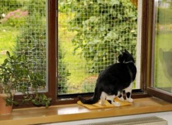 ROHRSCHNEIDER Sicherheitsnetz ca.  2 x 4 m, weiß 