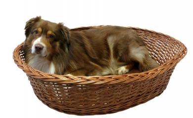 SILVIO DESIGN Ruhekorb mit Kissen Gr. XL ca. 96 x 67 x 26 cm, braun 