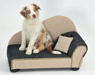 SILVIO DESIGN Leroy Ottomane für Hunde ca. 50 x 100 x 53 cm, grau-beige 