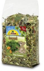 JR FARM Degu-Schmaus 800 g 