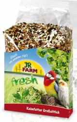 JR FARM Birds Keimfutter für Großsittich 1 kg 
