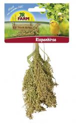 JR FARM Rispenhirse 100 g 