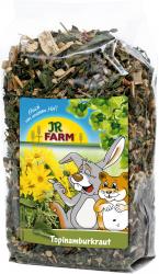 JR FARM Topinamburkraut 150 g 