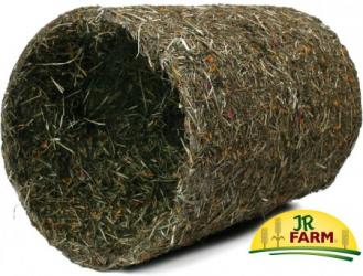 JR FARM Frühlings-Rolle groß 