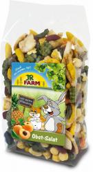 JR FARM Obst-Salat 200 g 