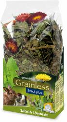 JR FARM Grainless Snack plus Salbei & Löwenzahn 100 g 
