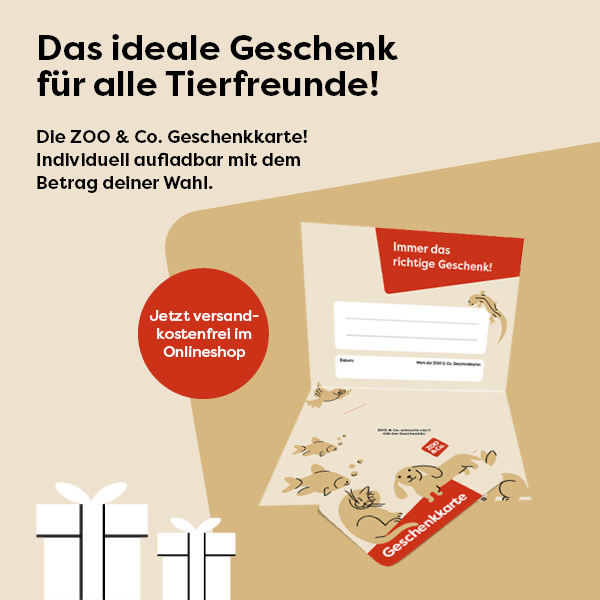 1-2_Startseite Geschenkkarte