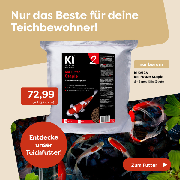 0-2_Startseite KIKAIBA