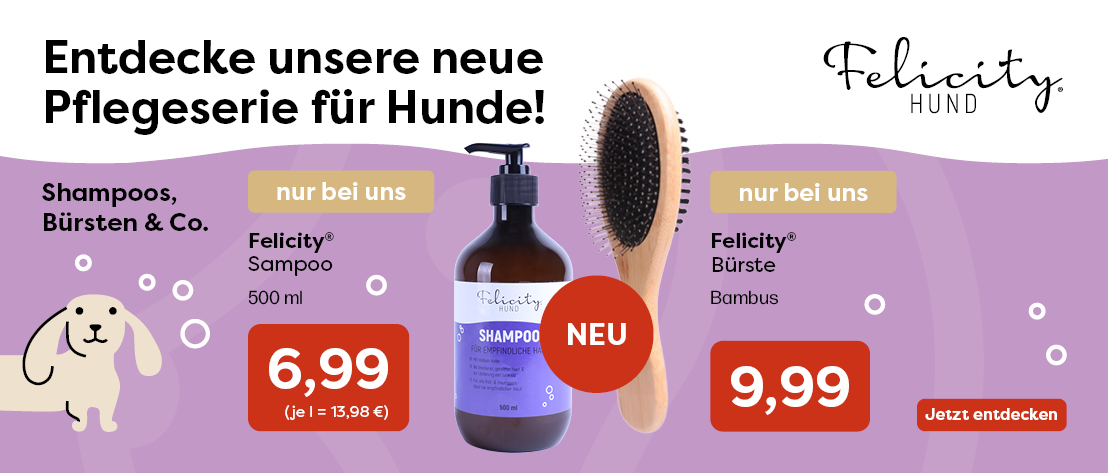 4-1_Startseite HUND Felicity