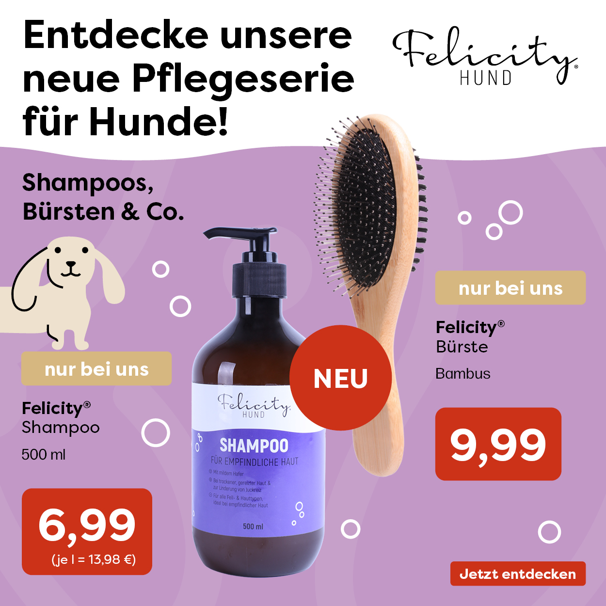 0-3_Startseite Felicity Hund