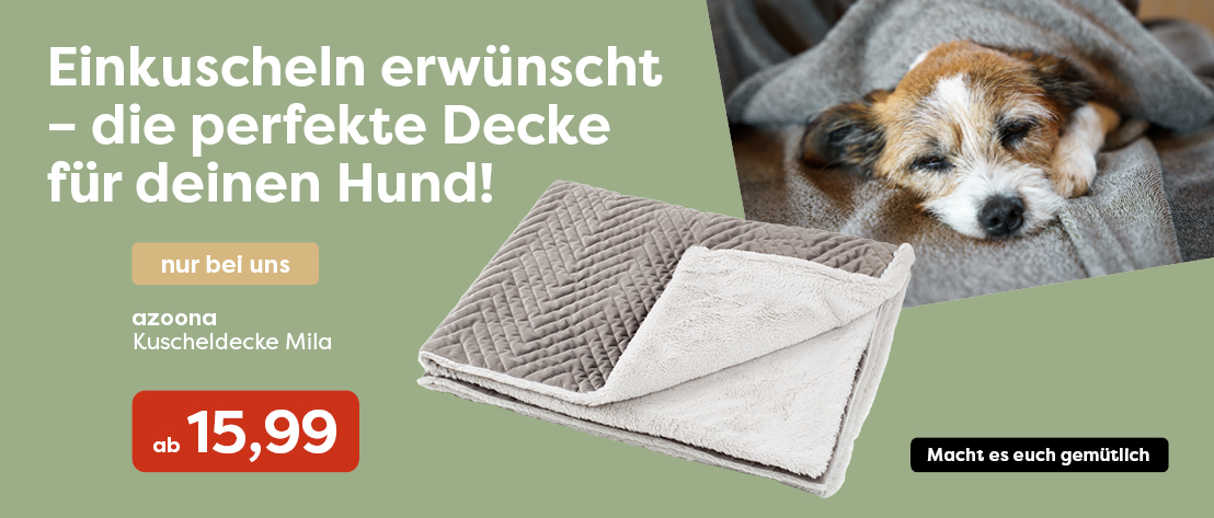 5-1_Startseite azoona Decken