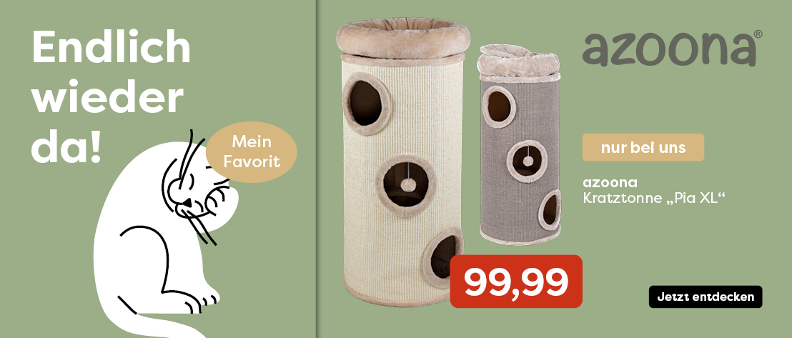 2-1_Startseite Katze Pia