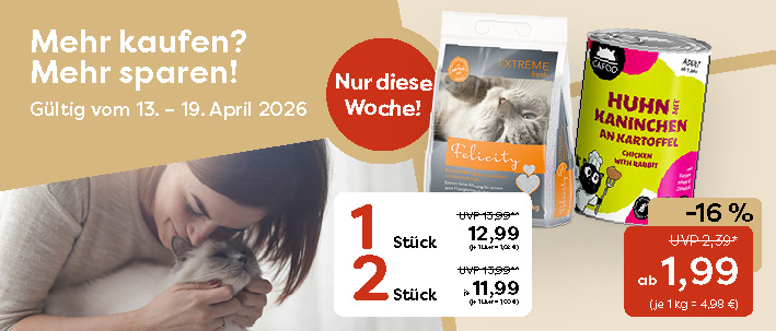 2-0_Startseite KATZE KW 16