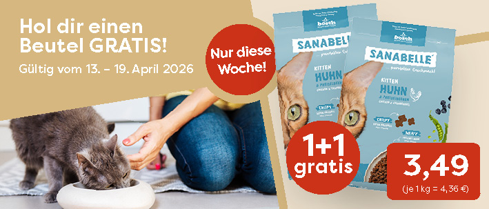 3-0_Startseite KATZE KW 16