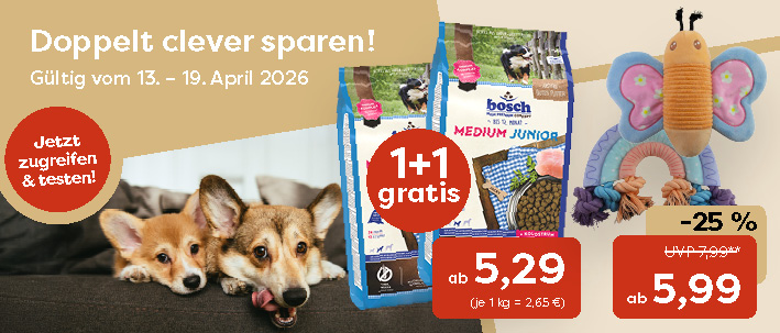 4-0_Startseite HUND KW 16