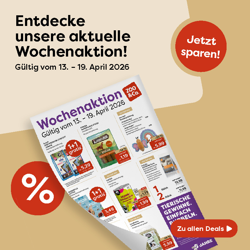 1-0_Startseite ALLGEMEIN KW 16